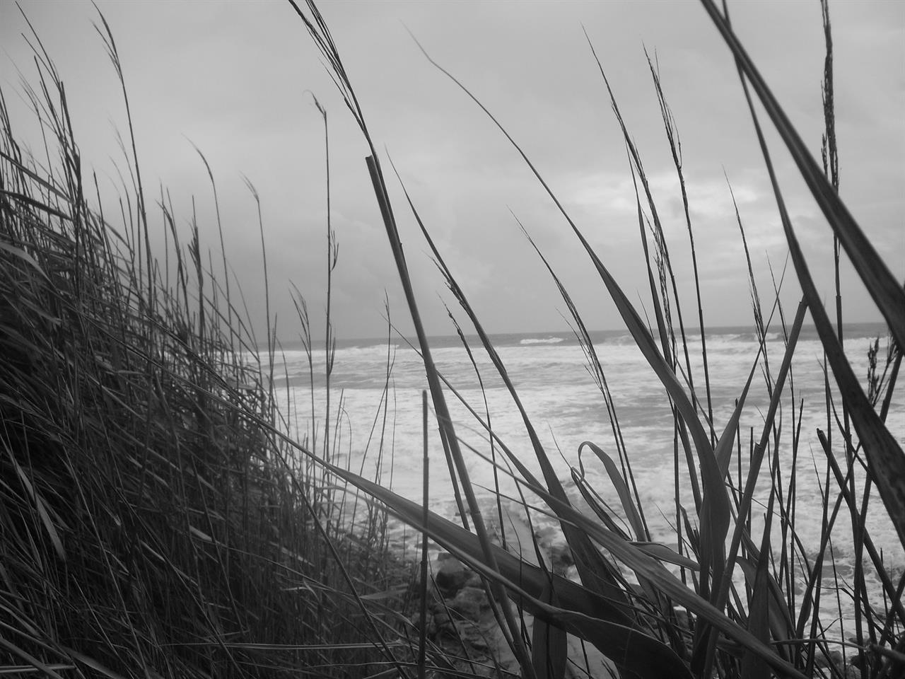 Photo 954929