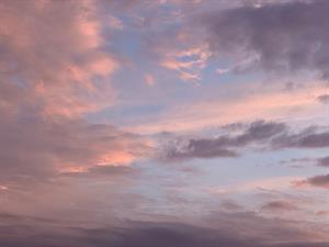 Photo 965382
