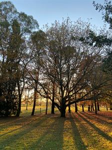 Photo 967712