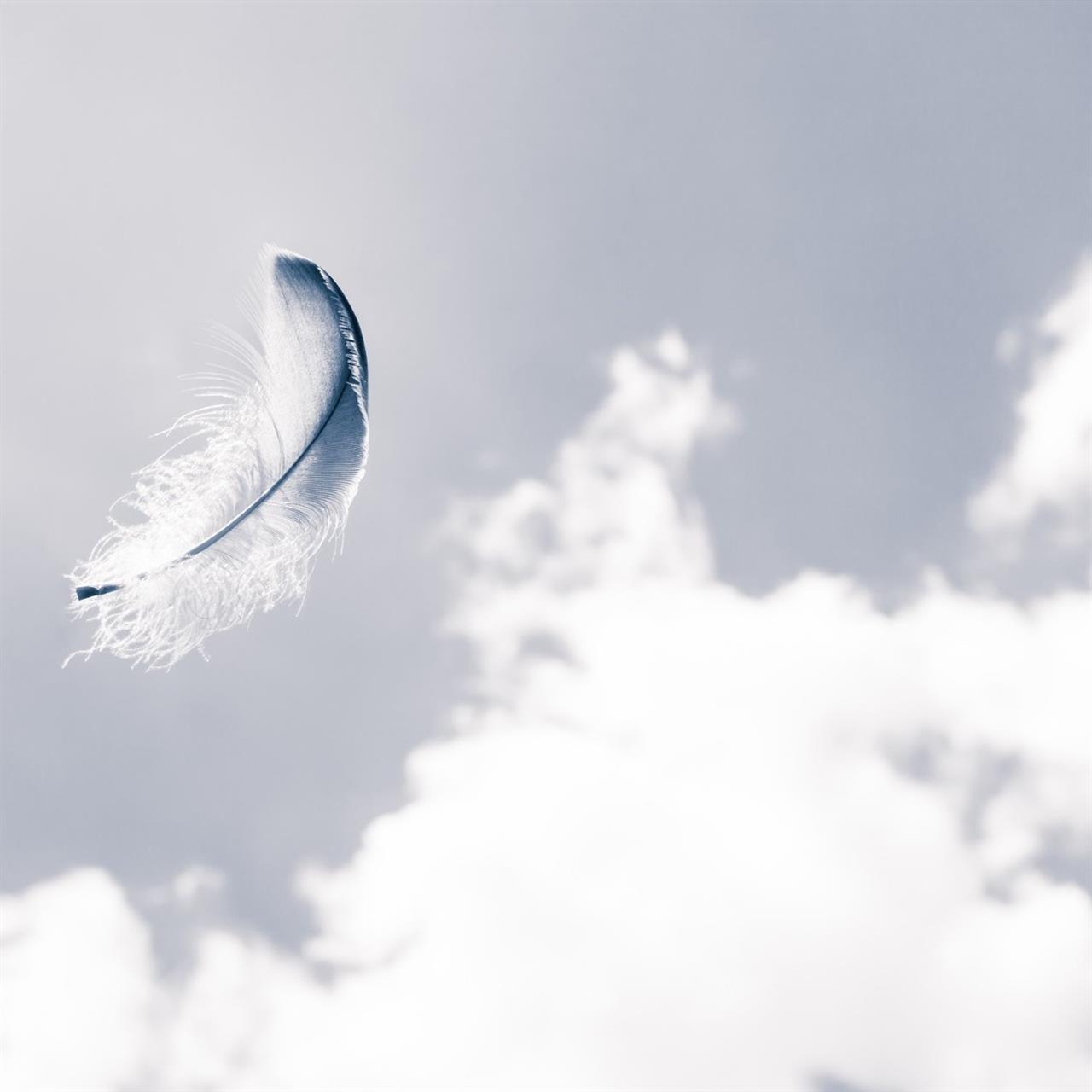 Photo 967766