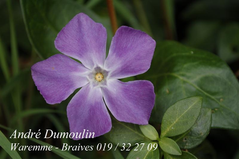 Photo 924271